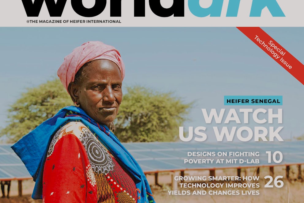 World Ark 2020 Fall Issue Cover.